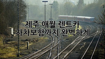 제주 애월 렌트카: 자차보험까지 완벽하게!